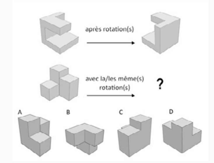 Exemple de question de raisonnement spatial Central Test