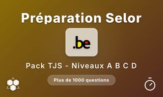 Test de jugement situationnel Travaillerpour.be - Niveaux A à D